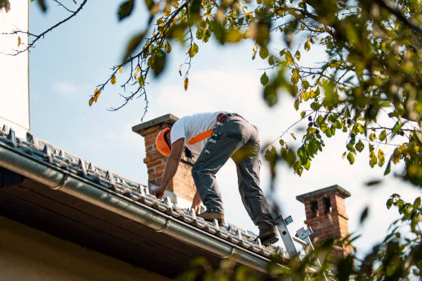 Roof Gutter Cleaning in Hopkinsville, KY
