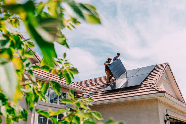 Best Roof Gutter Cleaning  in Hopkinsville, KY